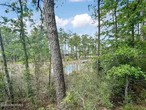 71 Mill Creek Lane Oriental NC 28571