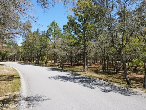637 Loreauville Drive SW Supply NC 28462
