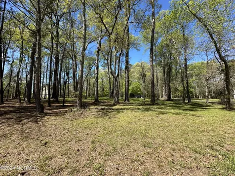115 Waterford Drive Bath NC 27808