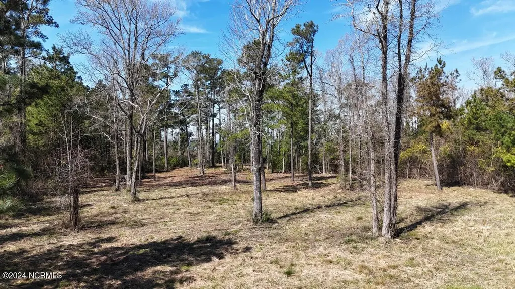 107 Pin Oak Court Beaufort NC 28516