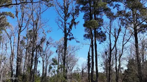 107 Pin Oak Court Beaufort NC 28516