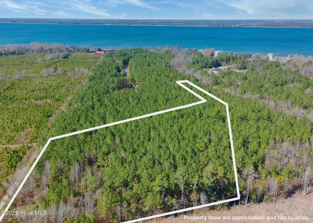 57 Eagle Nest Trail Blounts Creek NC 27814
