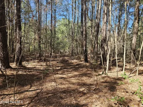 57 Eagle Nest Trail Blounts Creek NC 27814