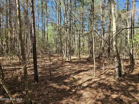 57 Eagle Nest Trail Blounts Creek NC 27814