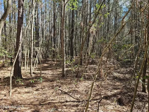 57 Eagle Nest Trail Blounts Creek NC 27814