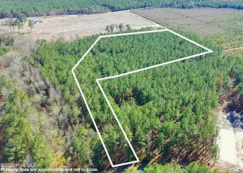 57 Eagle Nest Trail Blounts Creek NC 27814