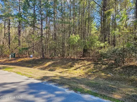 57 Eagle Nest Trail Blounts Creek NC 27814