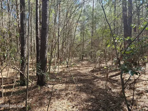 57 Eagle Nest Trail Blounts Creek NC 27814
