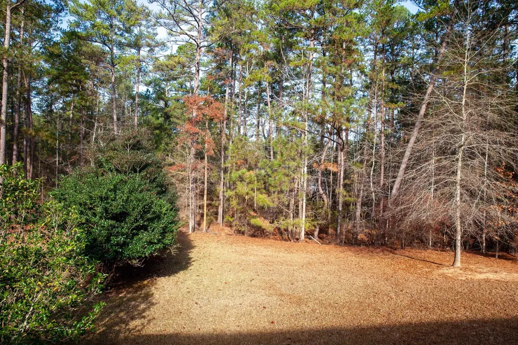 6203 Ridge Road Appling GA 30802