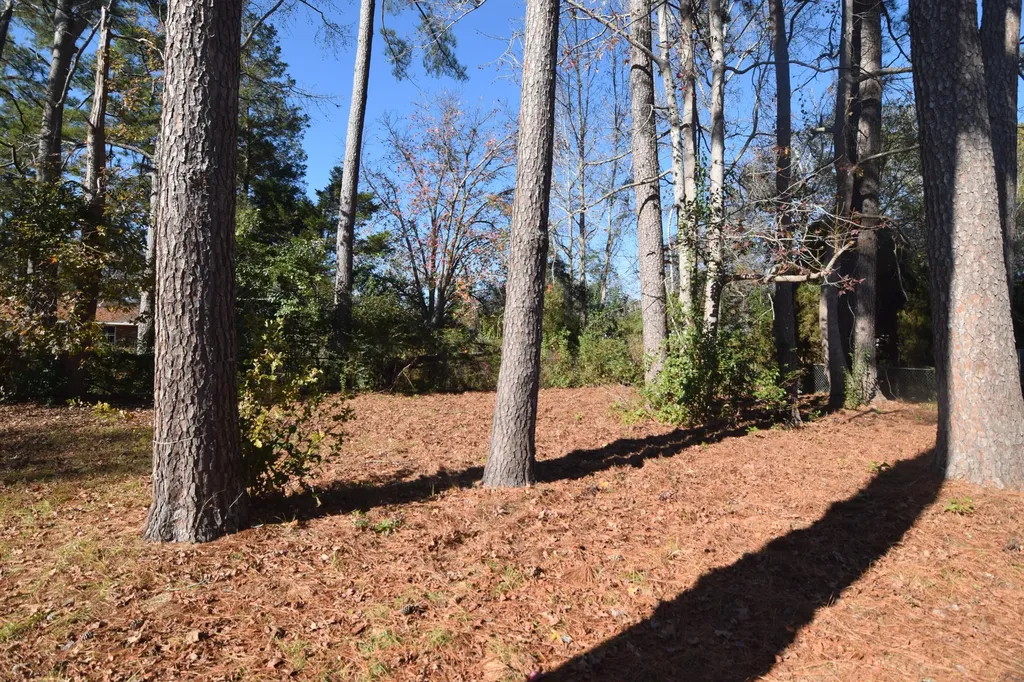 2619 Drayton Drive Augusta GA 30906