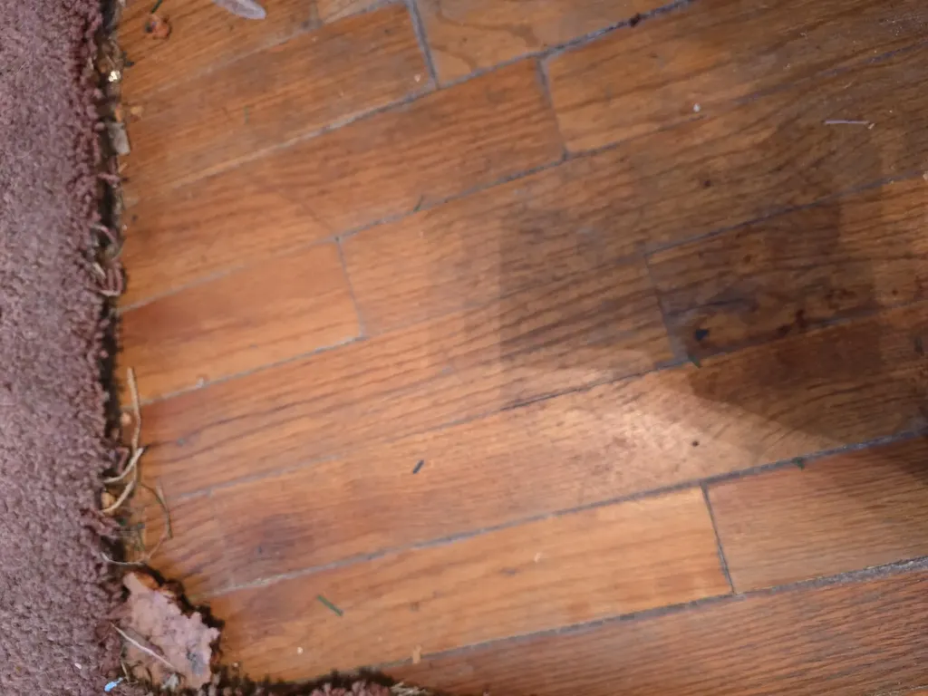 544 Highland Avenue Augusta GA 30904