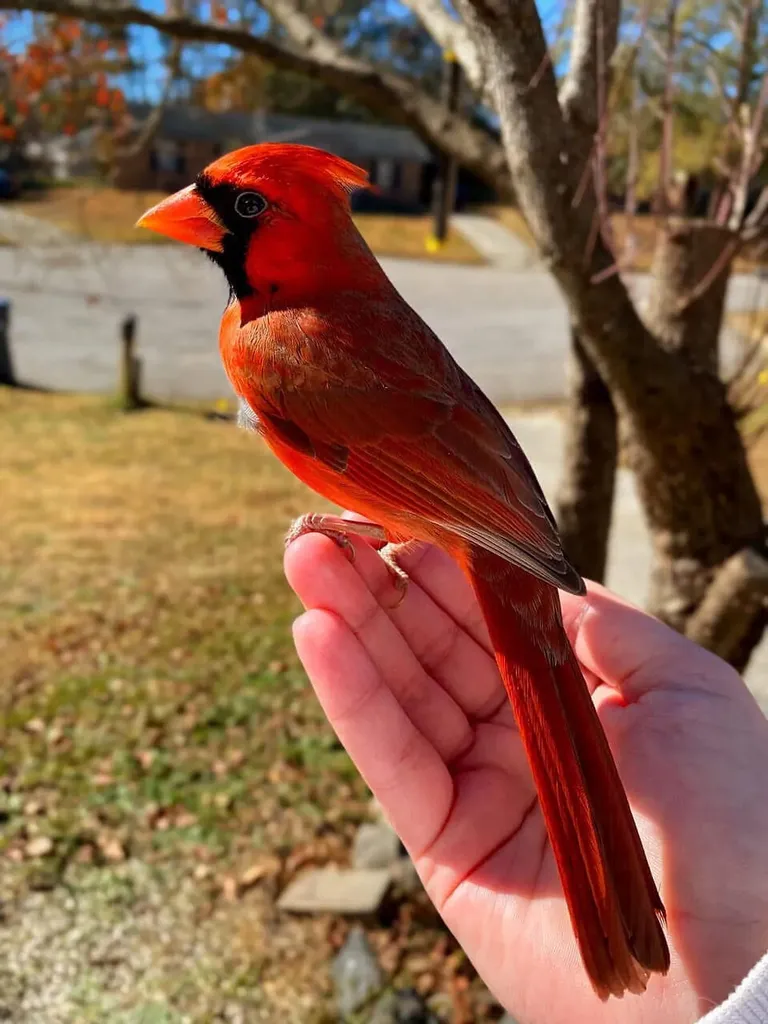 3042 Johnny Court Augusta GA 30906