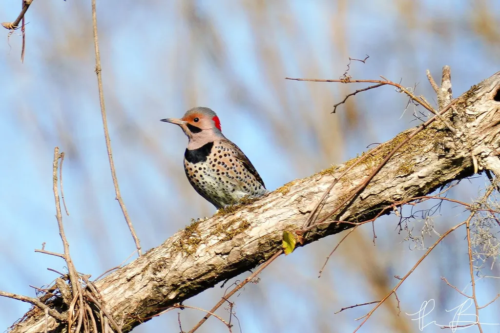 3042 Johnny Court Augusta GA 30906