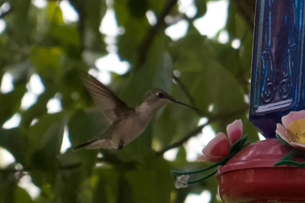 3042 Johnny Court Augusta GA 30906