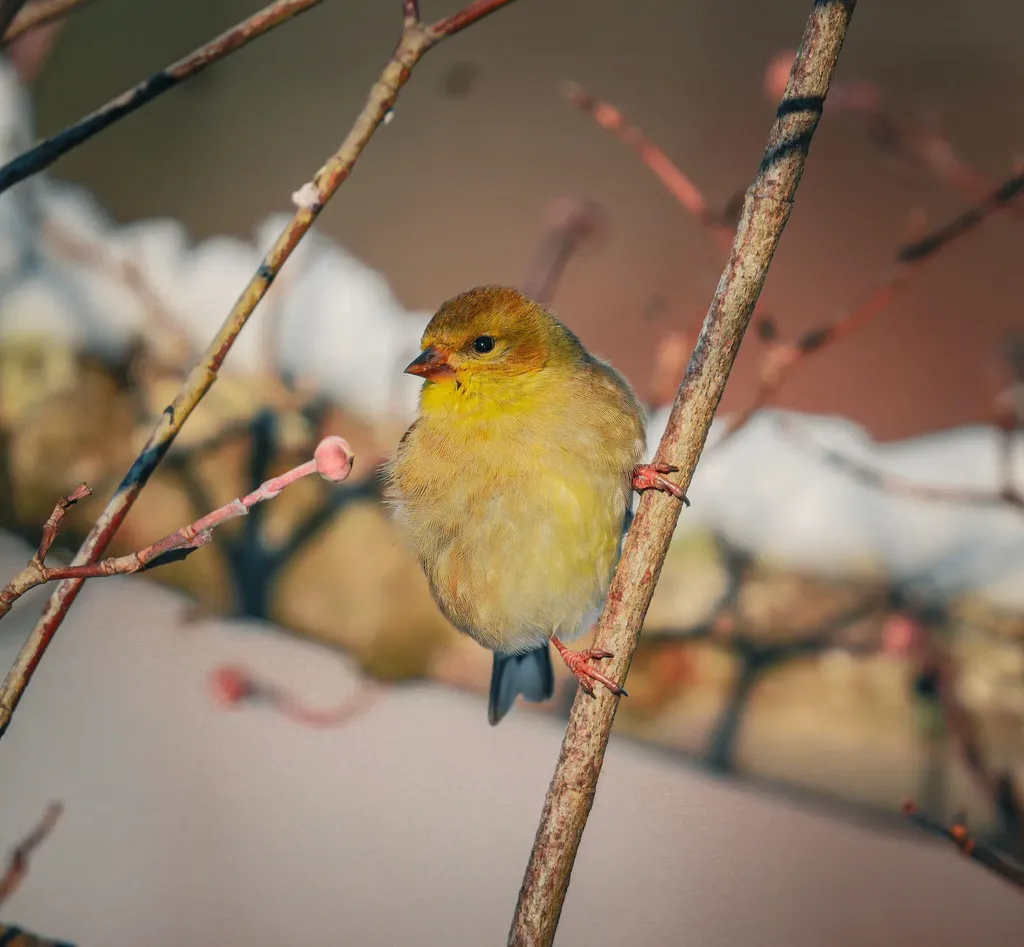 3042 Johnny Court Augusta GA 30906