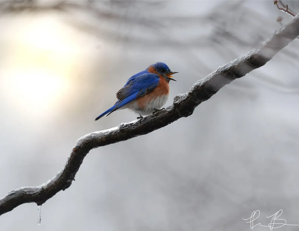 3042 Johnny Court Augusta GA 30906