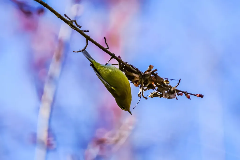 3042 Johnny Court Augusta GA 30906