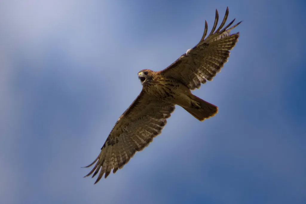 3042 Johnny Court Augusta GA 30906