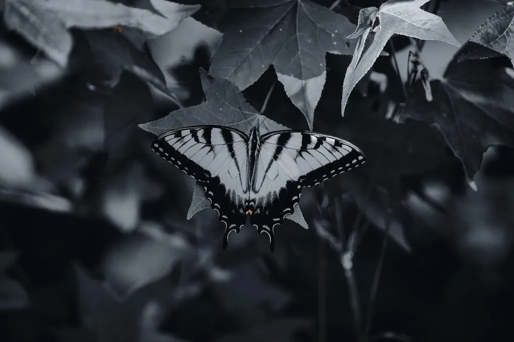 3042 Johnny Court Augusta GA 30906