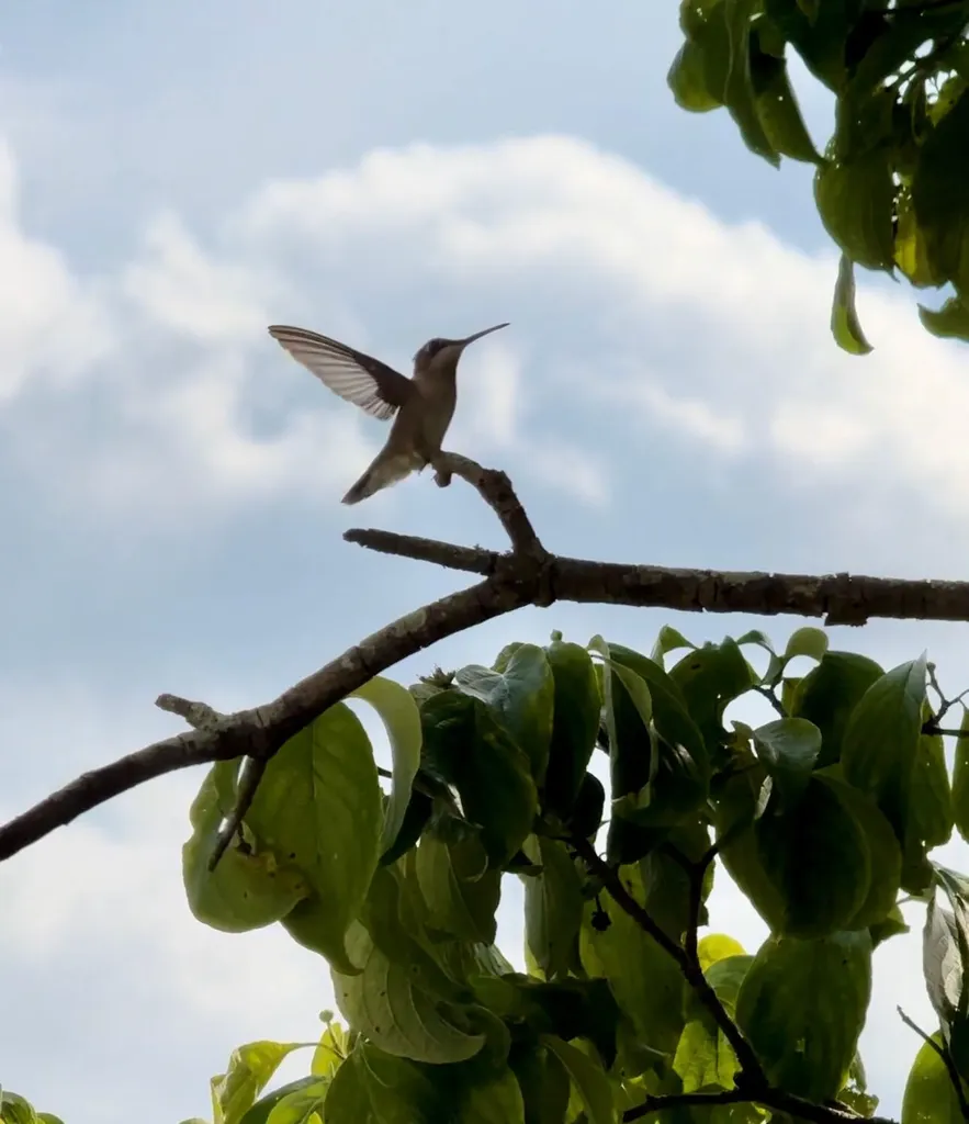 3042 Johnny Court Augusta GA 30906