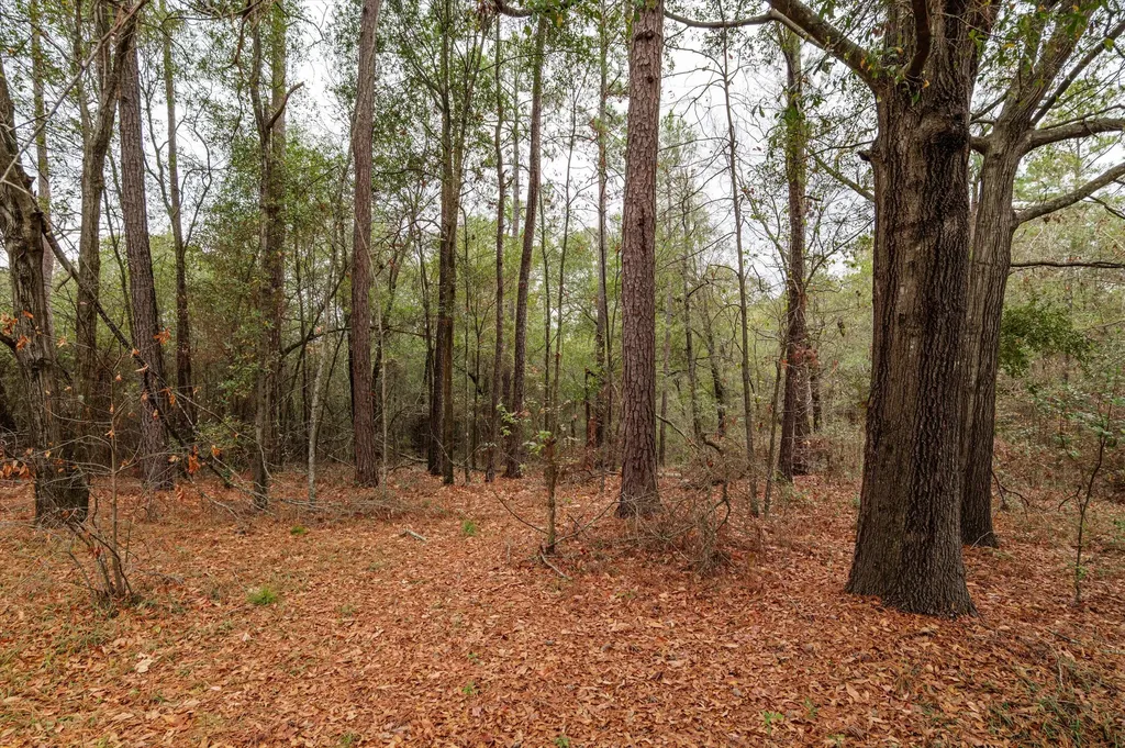 979 Horseshoe Road Augusta GA 30906