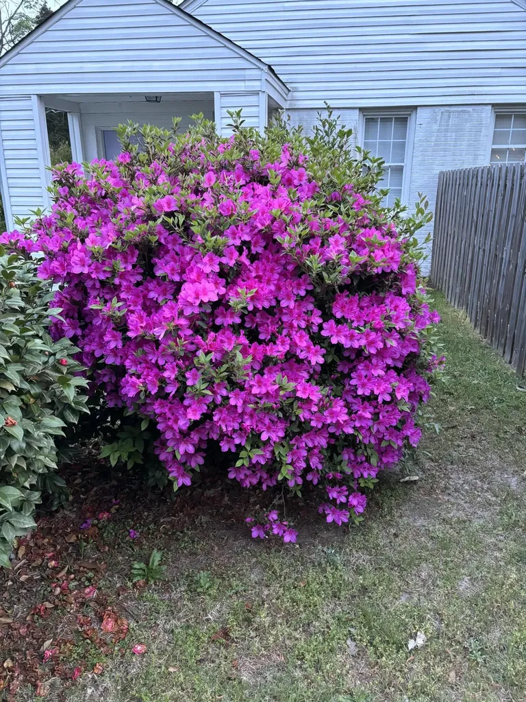 1729 Oak Drive Augusta GA 30904