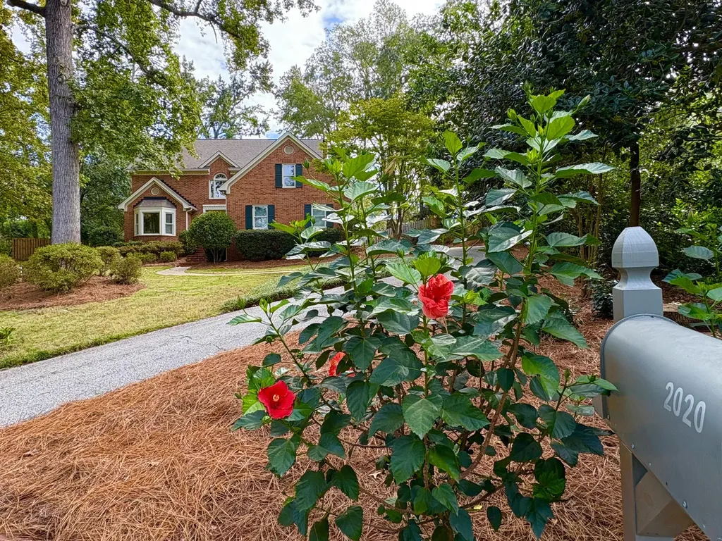 2020 Autumn Chase Augusta GA 30907