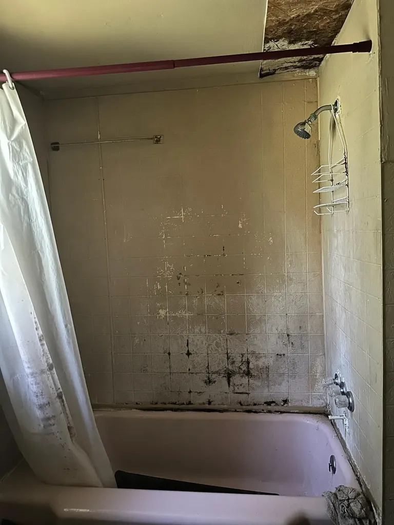 1539 Chestnut Street Augusta GA 30901