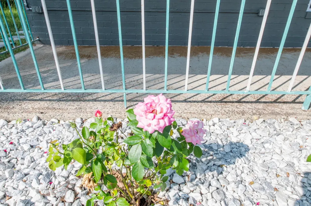 2337 Naples Drive Augusta GA 30906