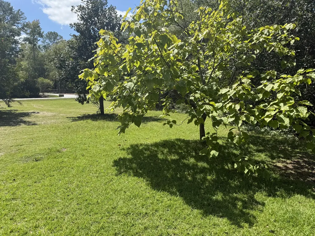 5601 Burks Mountain Road Appling GA 30802