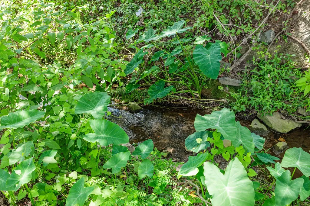 3924 Old Trail Road Augusta GA 30907