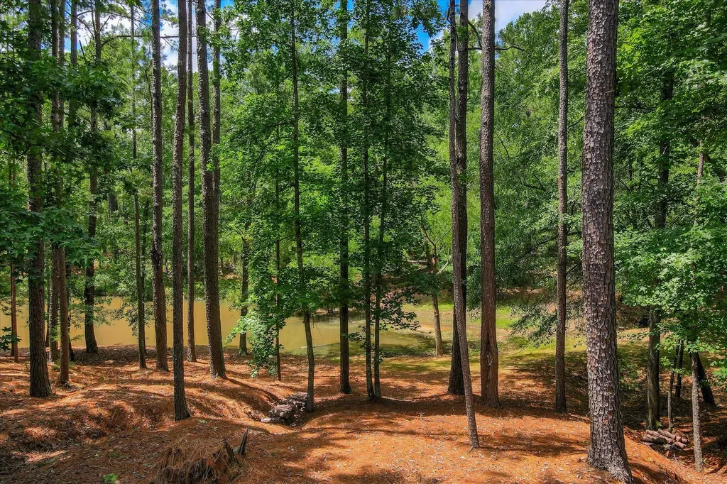 3005 Timber Woods Drive Appling GA 30802
