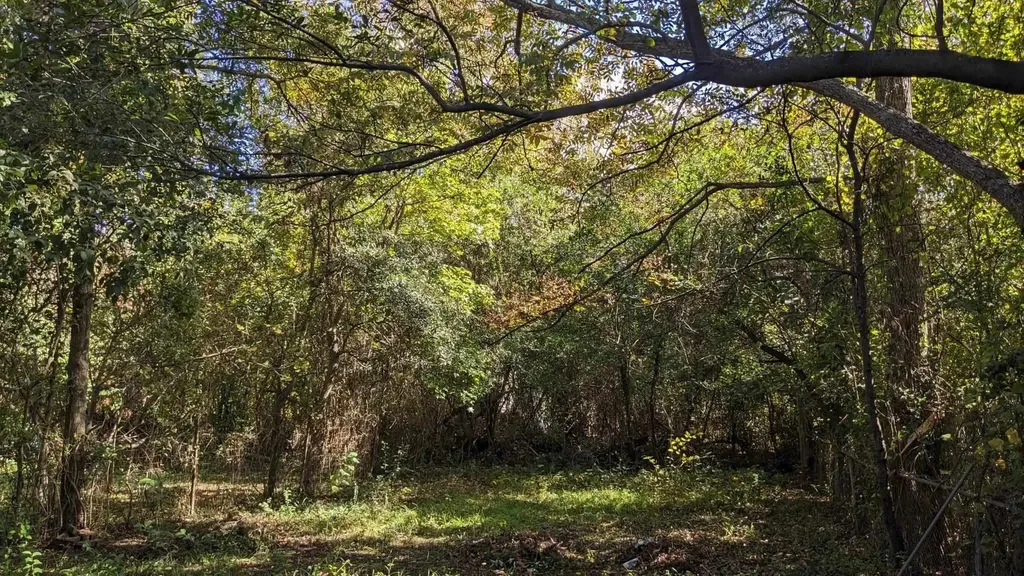 406 Hamilton Street Augusta GA 30904