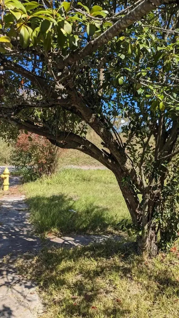 406 Hamilton Street Augusta GA 30904