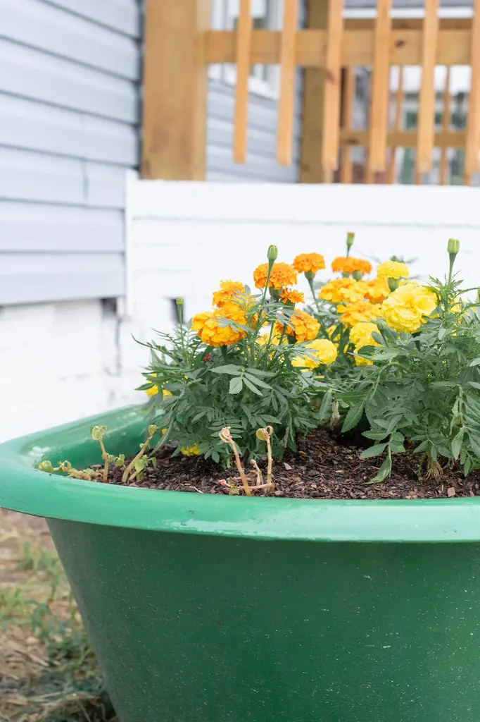 1151 Roselle Street Augusta GA 30901