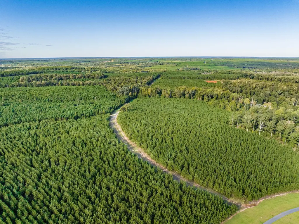 3275 Hadden Pond Road Avera GA 30803