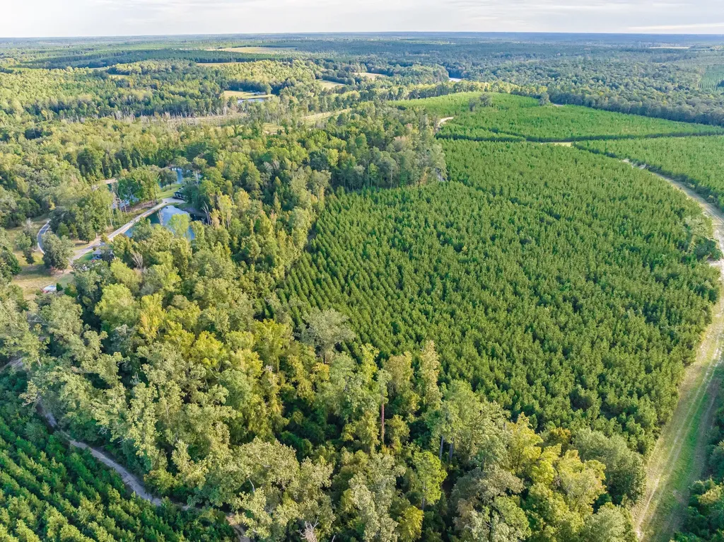 3275 Hadden Pond Road Avera GA 30803