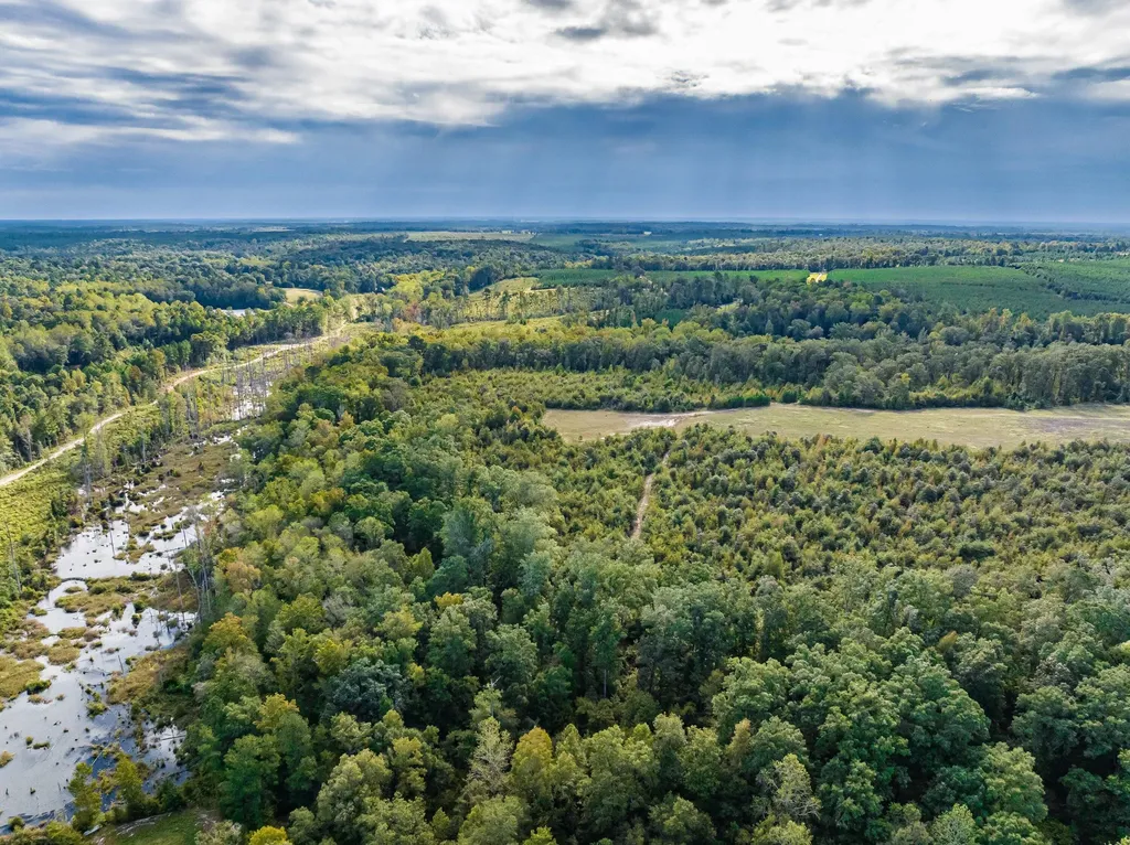 3275 Hadden Pond Road Avera GA 30803