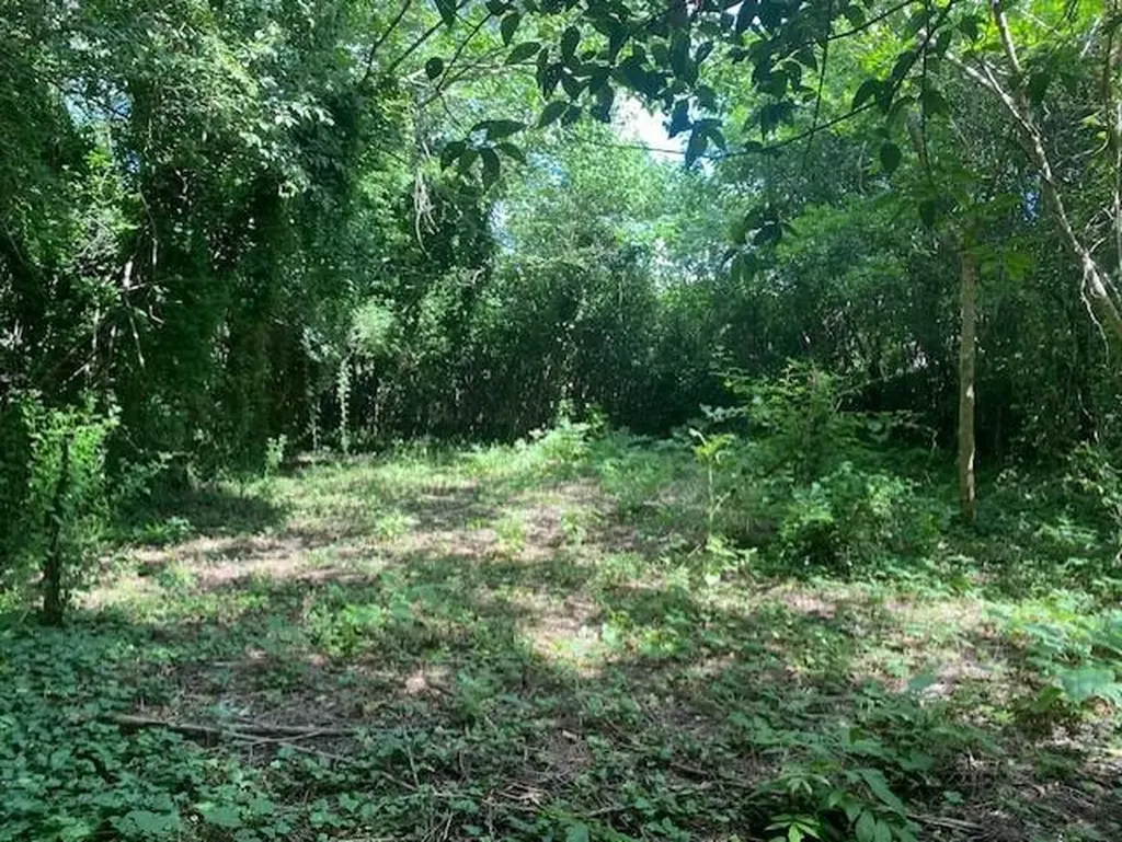 1529 Maple Street Augusta GA 30901