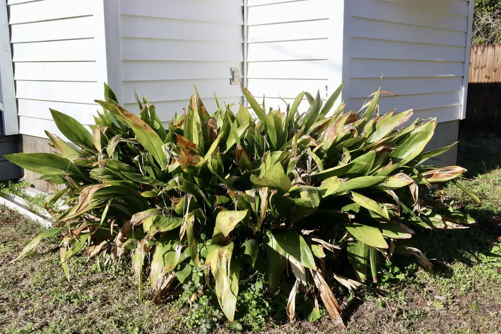 2165 Rosier Road Augusta GA 30906