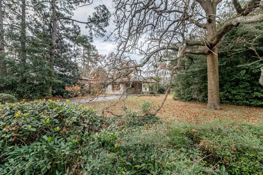 2602 Walton Way Augusta GA 30904