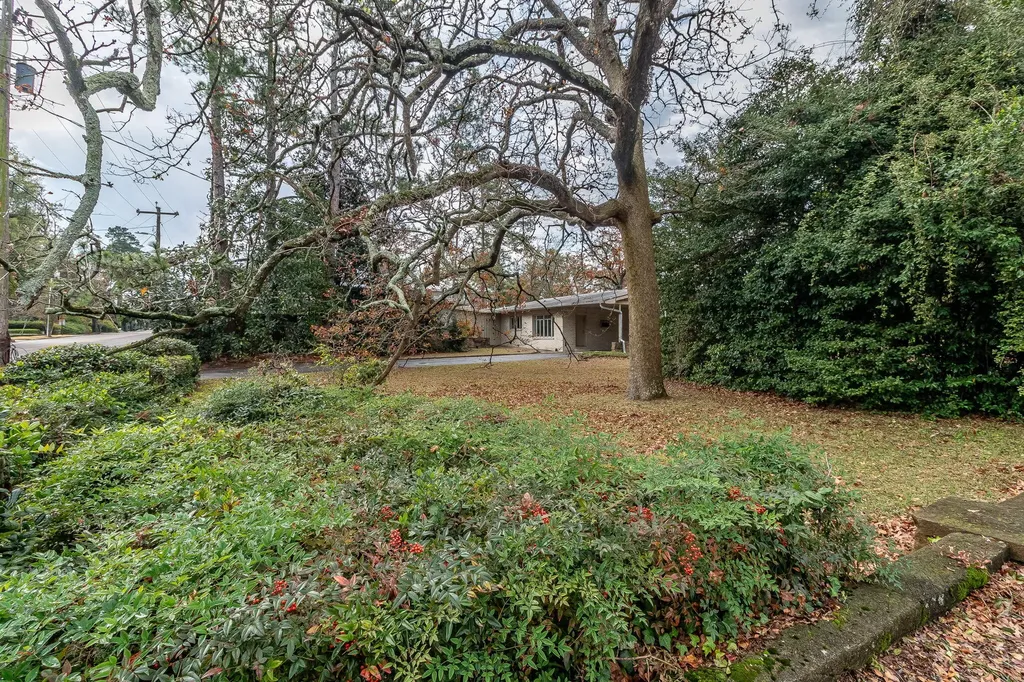 2602 Walton Way Augusta GA 30904