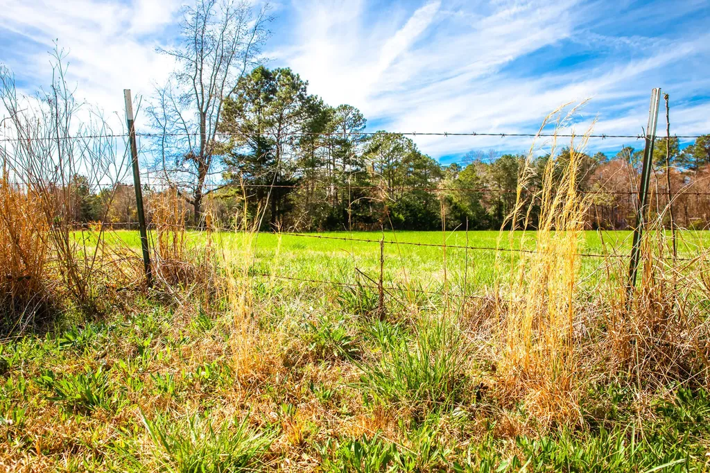 3520 Mistletoe Road Appling GA 30802