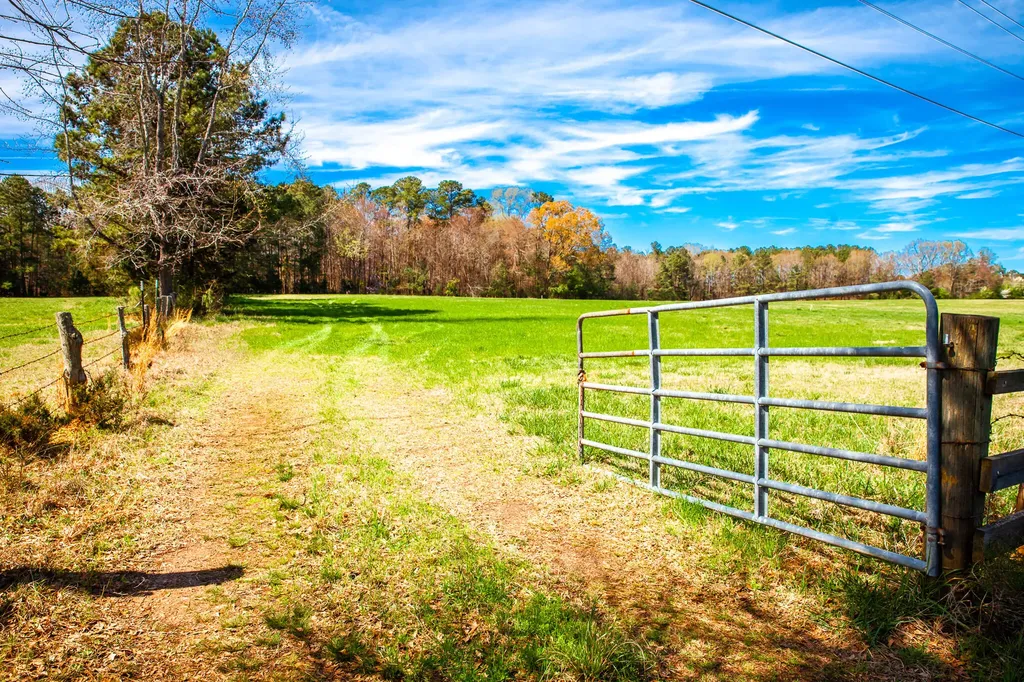 3520 Mistletoe Road Appling GA 30802