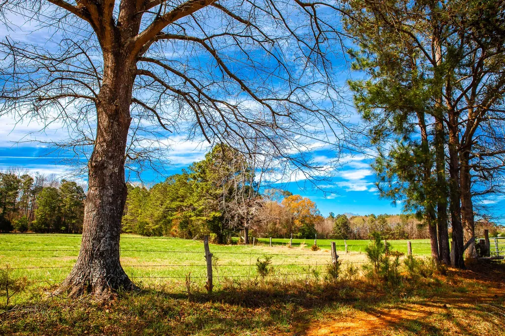 3520 Mistletoe Road Appling GA 30802