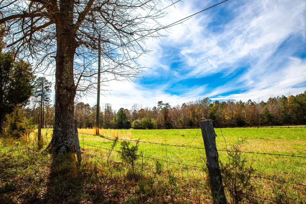 3520 Mistletoe Road Appling GA 30802