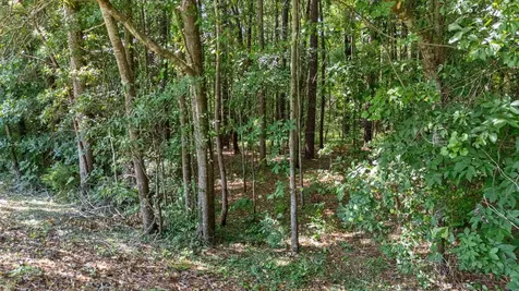 Lot 7 Woodspring Court North Augusta SC 29860