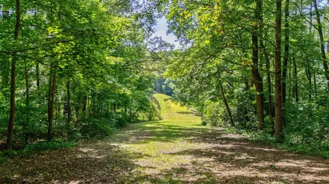 Lot 7 Woodspring Court North Augusta SC 29860