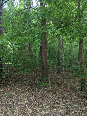R-25 Independent Hill Lane North Augusta SC 29860