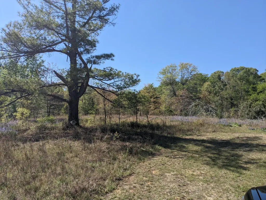 4781 Deans Bridge Road Blythe GA 30805